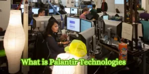 What is Palantir Technologies