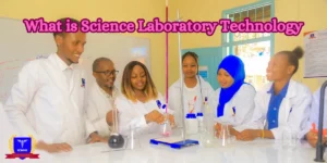 What is Science Laboratory Technology