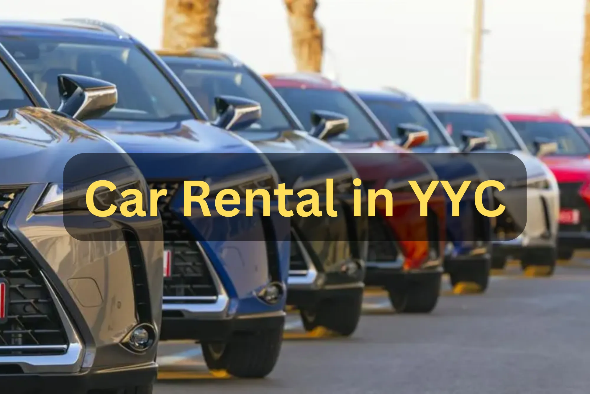 Car Rental in YYC
